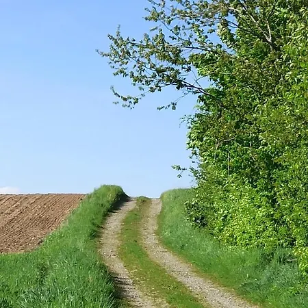 Апартаменты Neue In Ruschweiler *