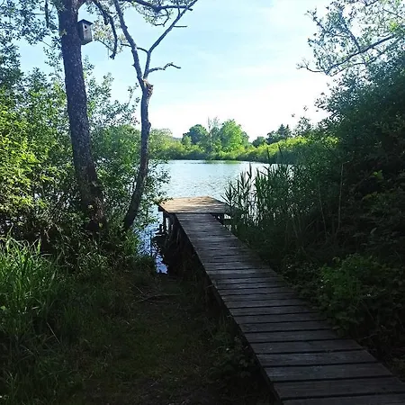 Neue In Ruschweiler *